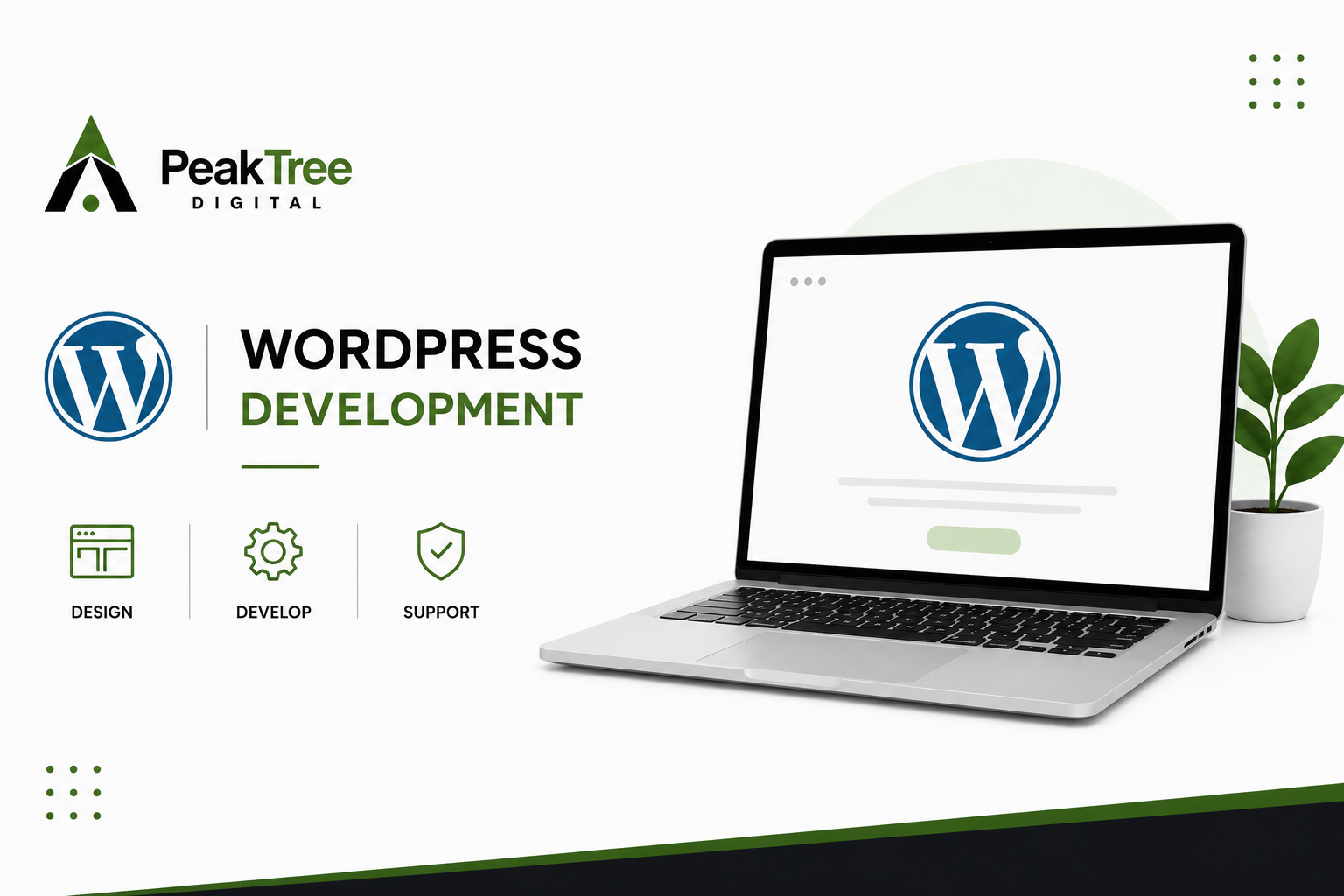WordPress Development